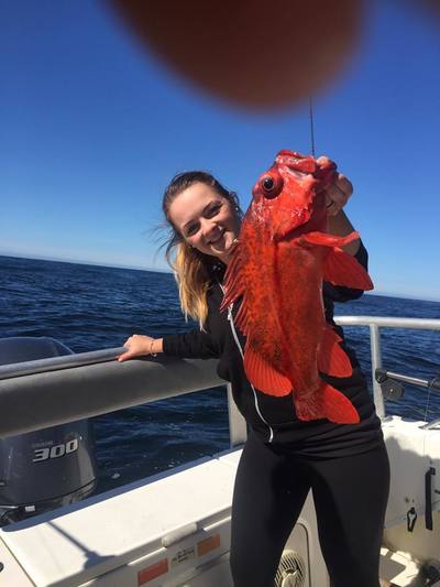 Rock cod fishing with Ucluelet Charters